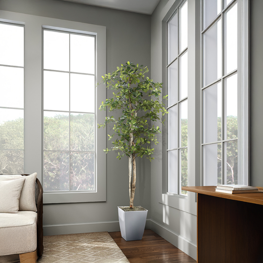 7' Faux Black Olive Tree in Cardinal Planter