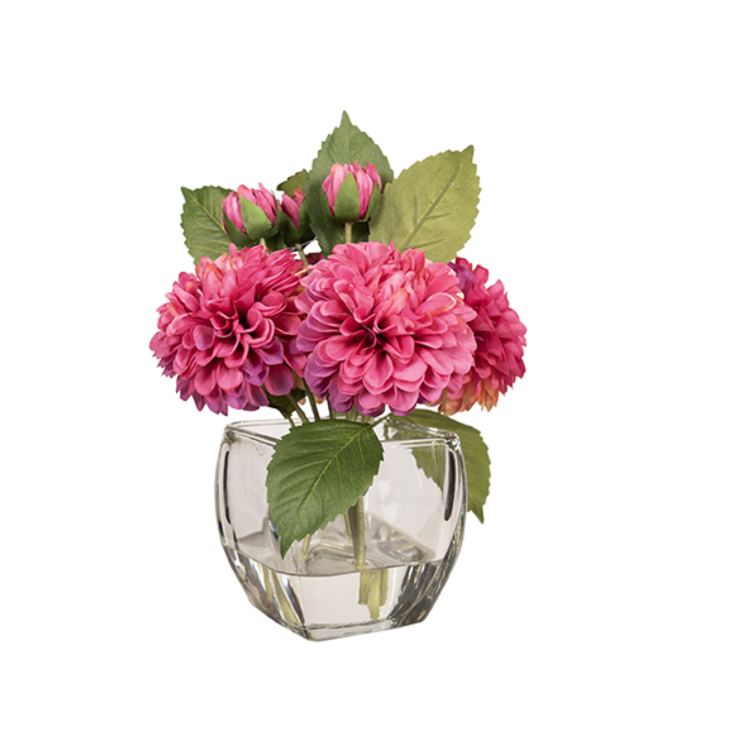 Burgundy Dahlia in Bevel Vase