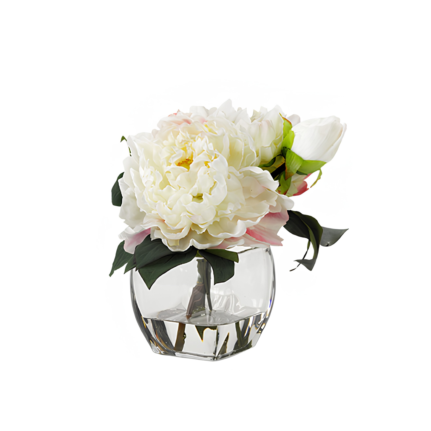 Cream Peonies in Bevel Vase
