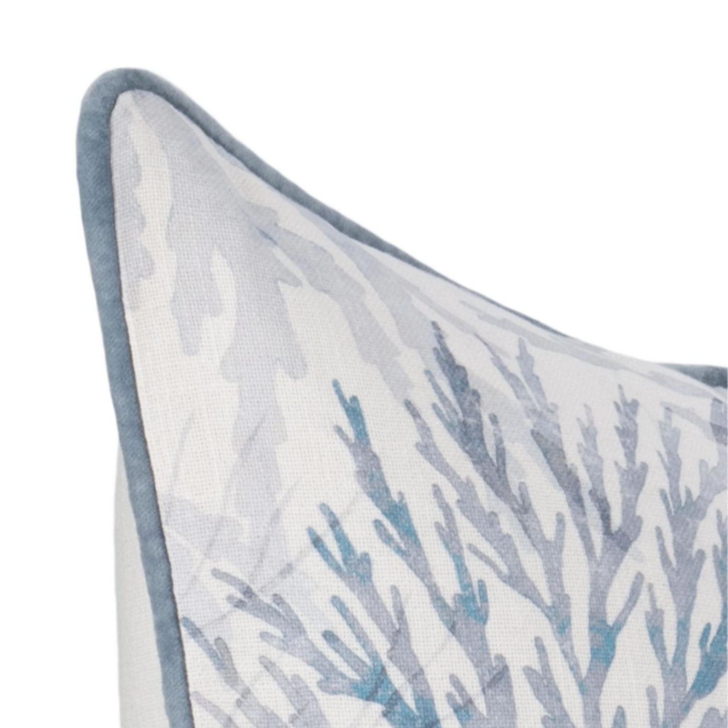 Lessonia 22x22 - Blue