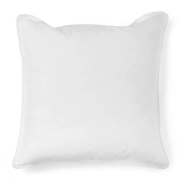Pillow Insert 22 x 22