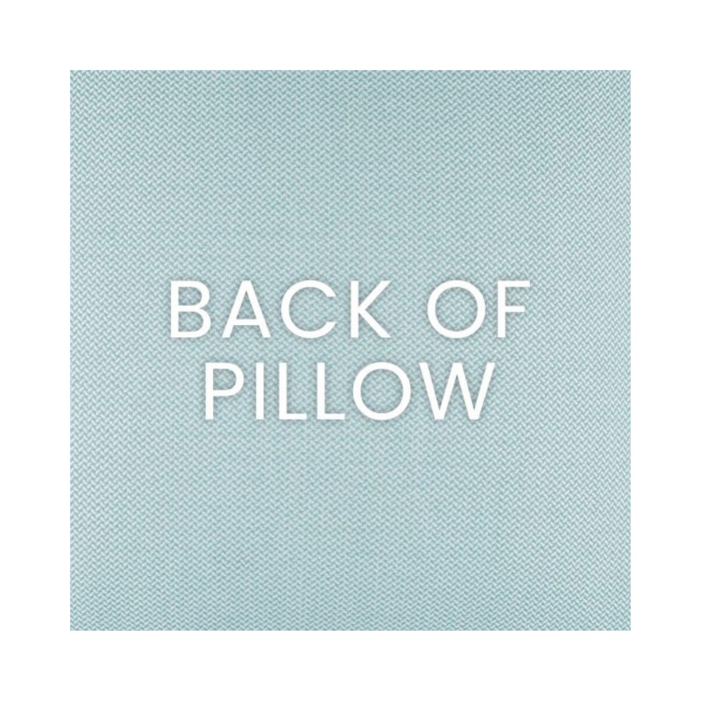 Peggy Spa Blue Indoor/Outdoor Pillow 22 x 22