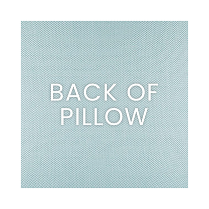 Peggy Spa Blue Indoor/Outdoor Pillow 22 x 22