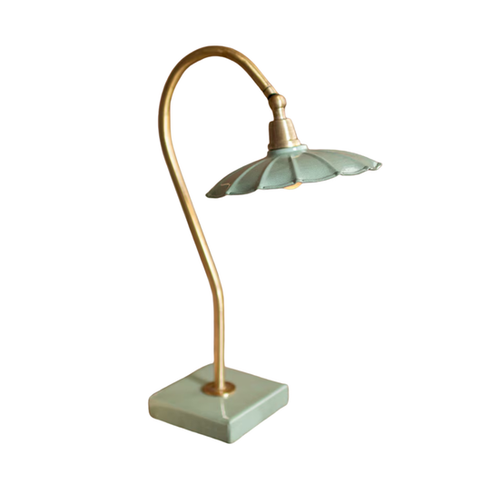 Antique Brass Goose Neck Table Lamp with Enamel Shade