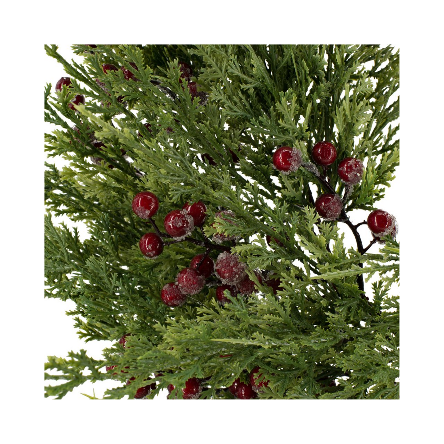 Juniper Berry Wreath