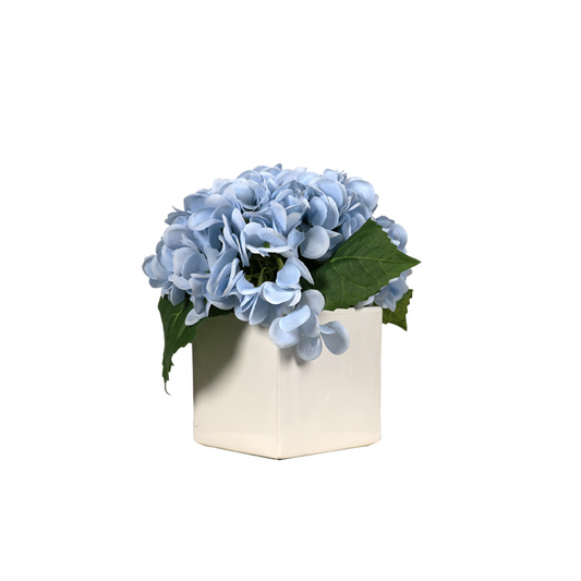 Blue Hydrangeas in Square Simple Vase