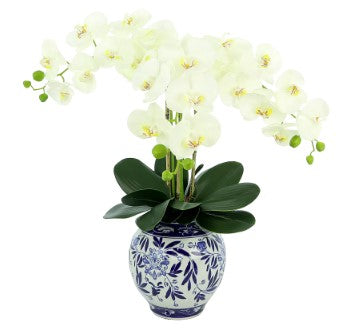 White Orchids in Decorative B&W Ceramic Pot and Tray