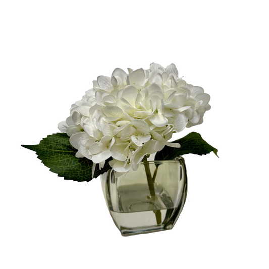 Cream Hydrangea in Bevel Vase