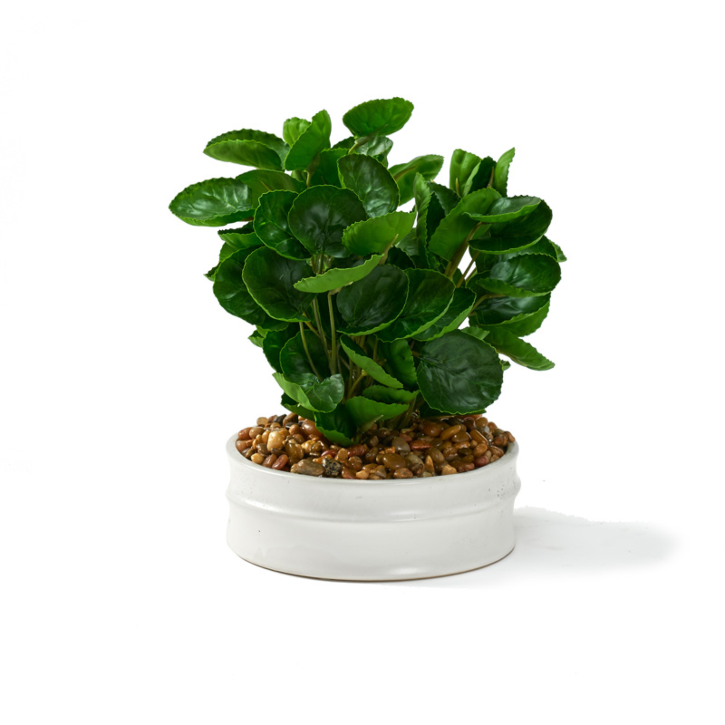 Faux Eucalyptus Bundle in Small Matte White Bowl