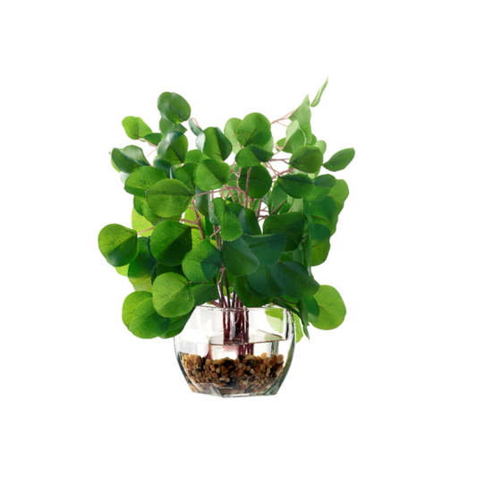 Eucalyptus Green in Bevel Vase