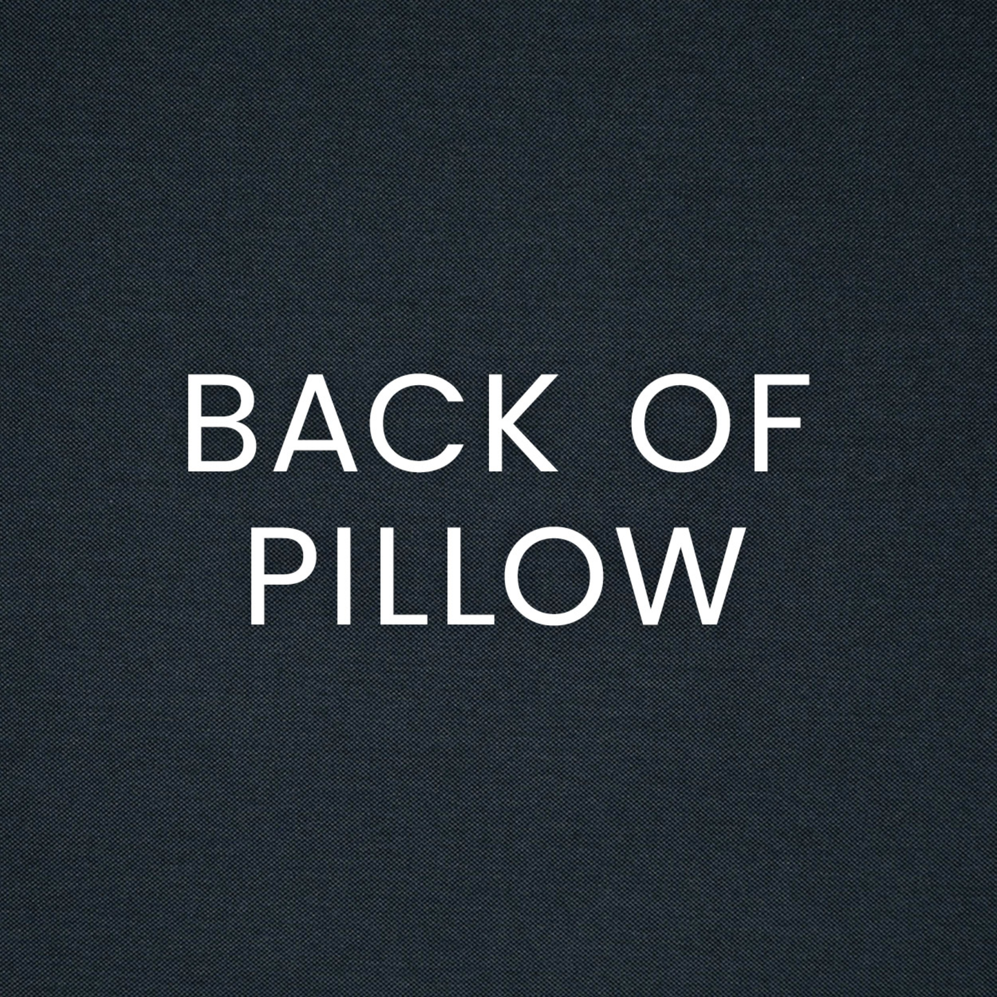 Kelly Indoor/Outdoor Pillow 22 X 22