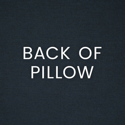 Kelly Indoor/Outdoor Pillow 22 X 22