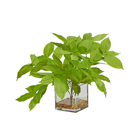 Lemon Leaf in Glass Simply Square Vase