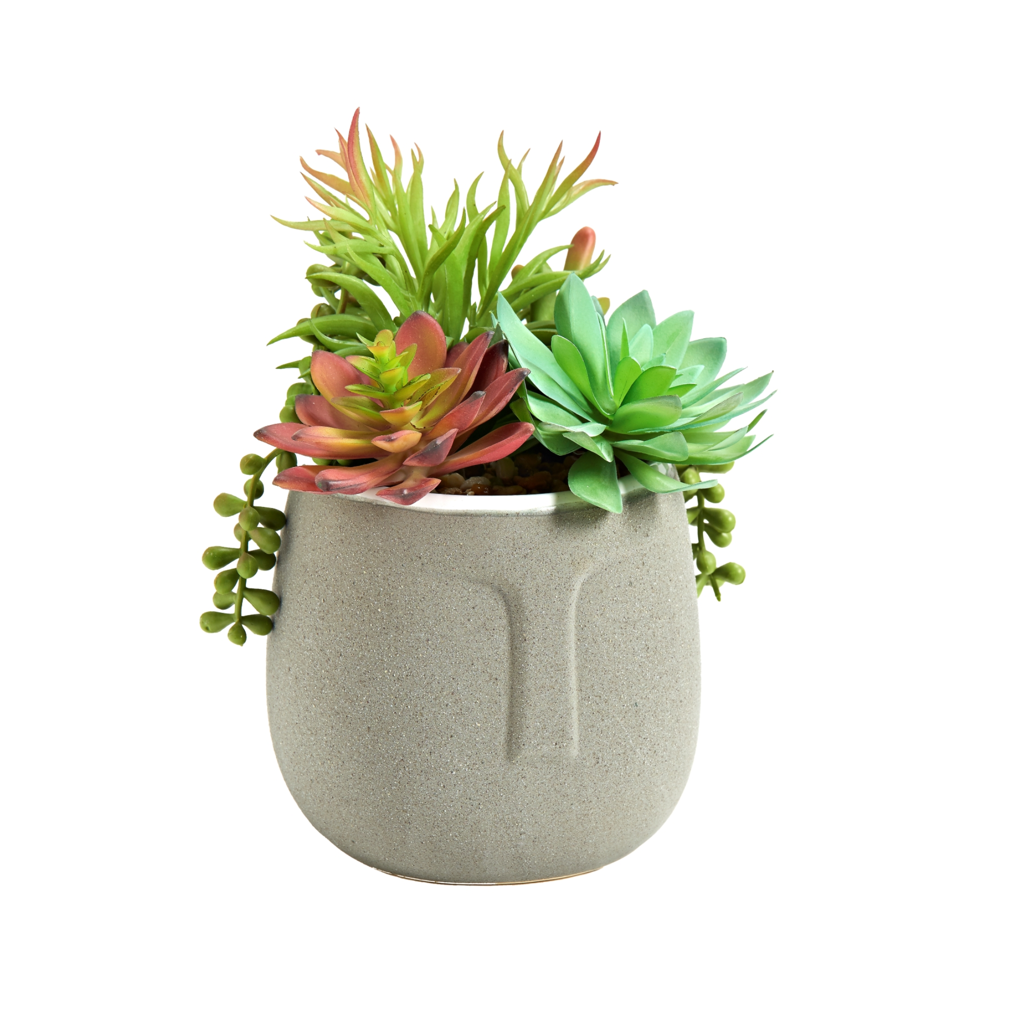 Mixed Succulents in Grey Aztec Pot – Hamma Galleries