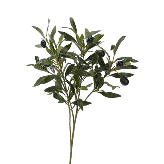 Olive Spray with fruit