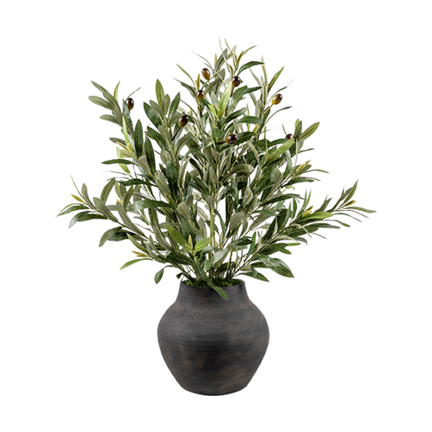 Olive Spray in Harvest Jar