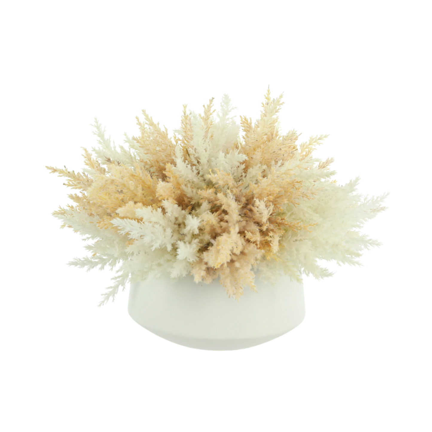 Assorted Pampas in Ceramic Bowl