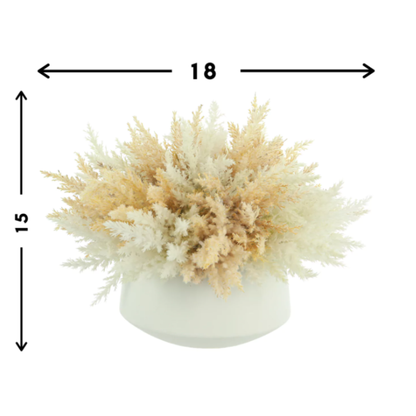 Assorted Pampas in Ceramic Bowl