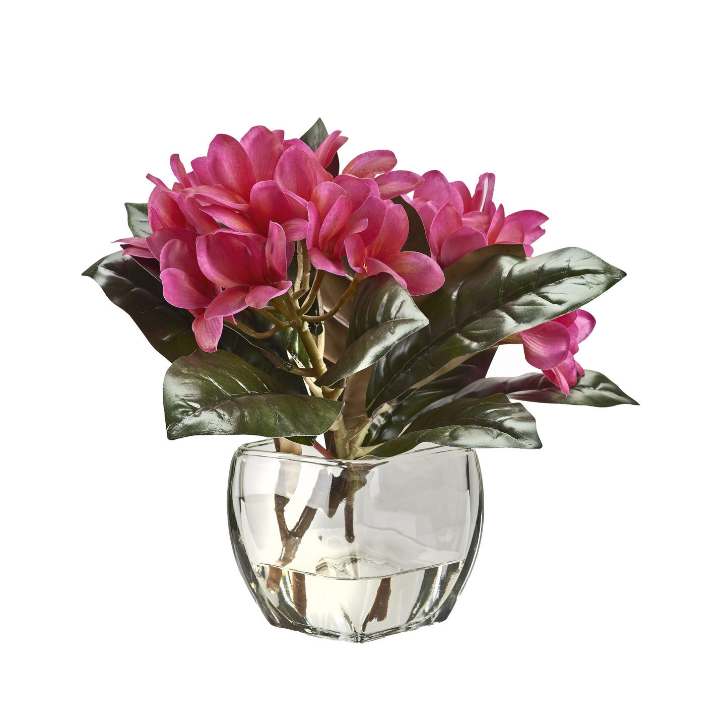 Pink Frangipani in Bevel Vase