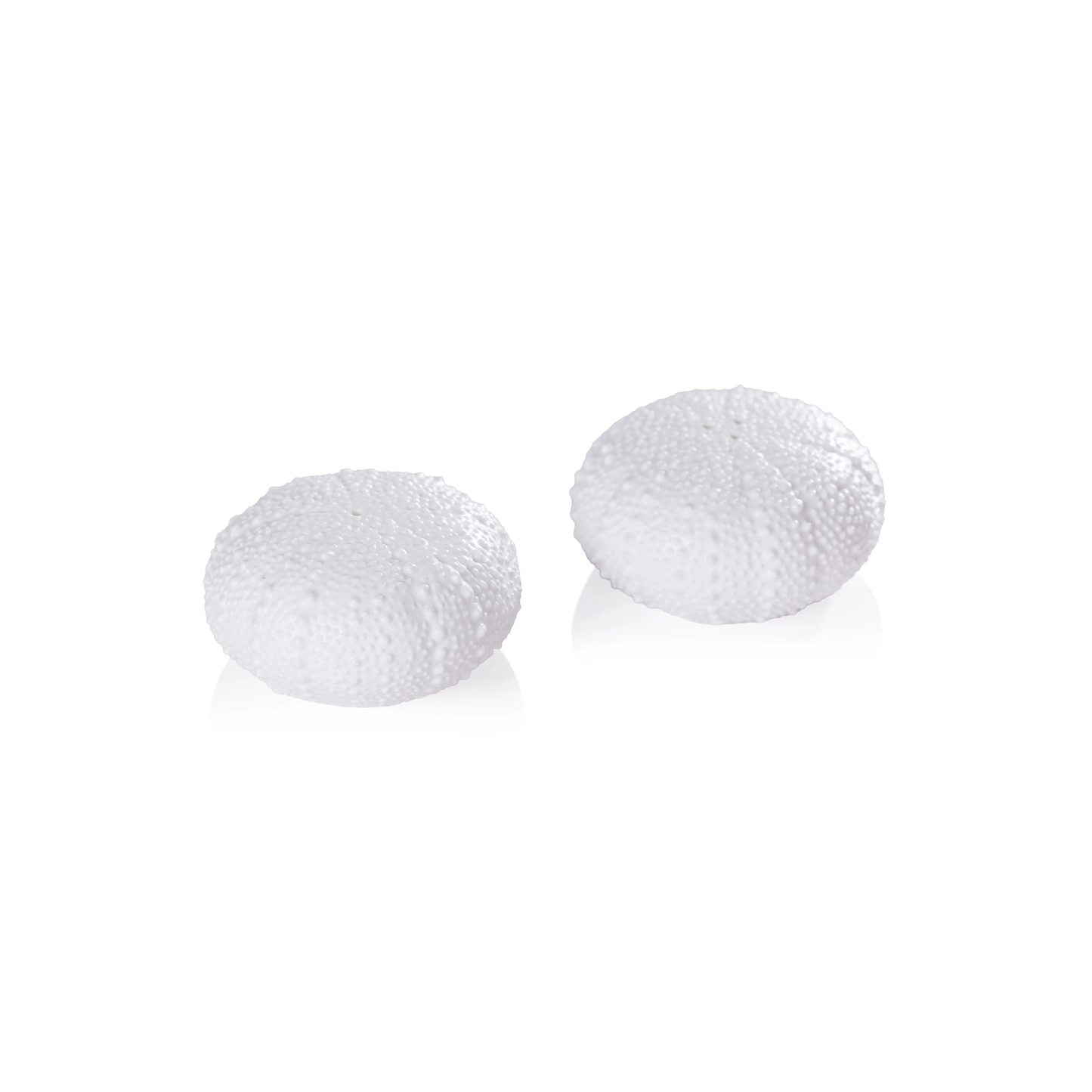 Sea Urchin Salt and Pepper Set - Bone China