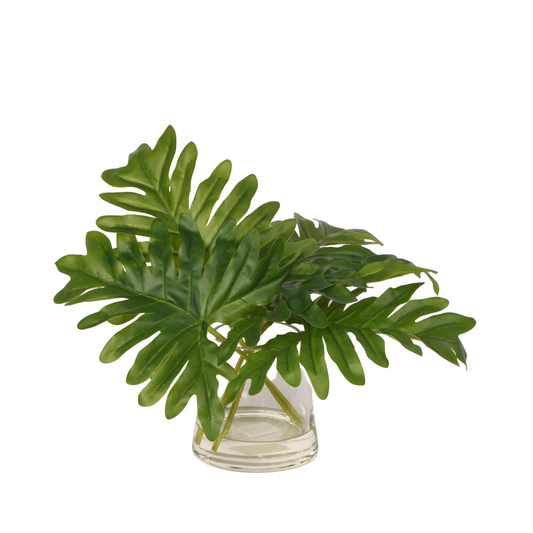 Split Leaf Philo in Taper Vase