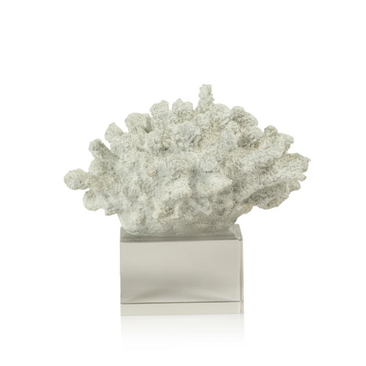 Faux White Coral w/ Base