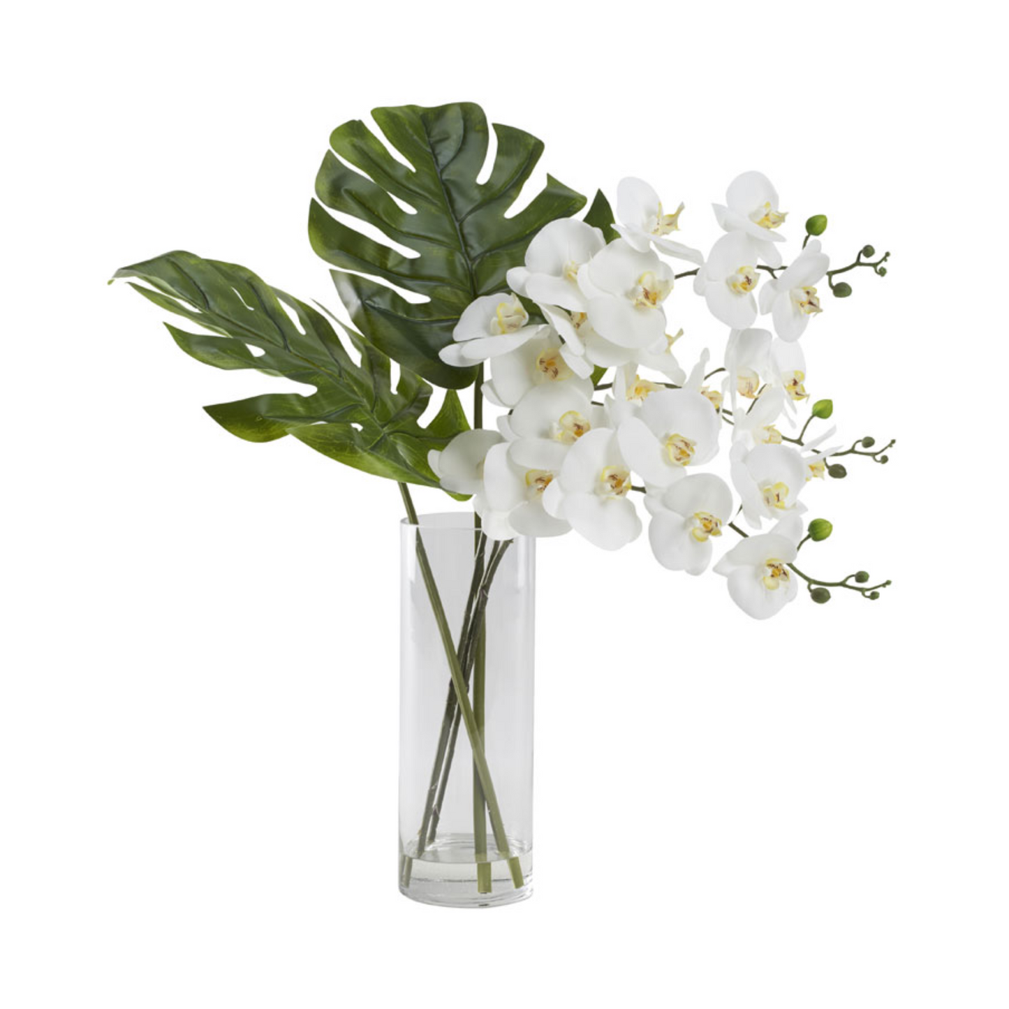 White Orchids with Split Leaf Philo in Fleur Vase