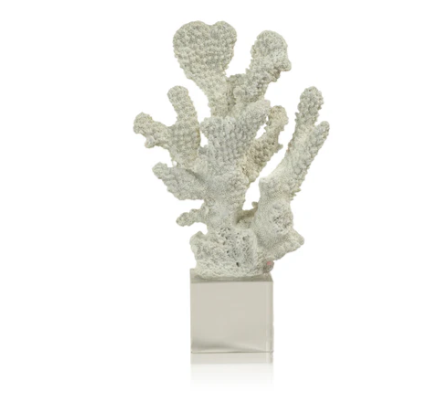 White Coral on Acrylic Base