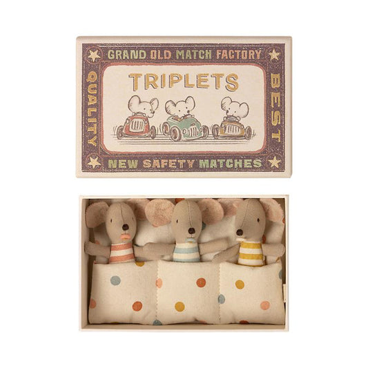 Baby Triplets Mice in Box
