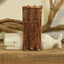 Load image into Gallery viewer, Whale Bookends
